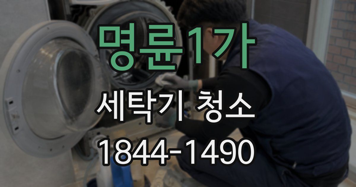 명륜1가 세탁기 청소