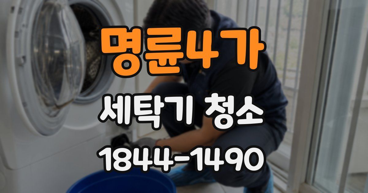 명륜4가 세탁기 청소