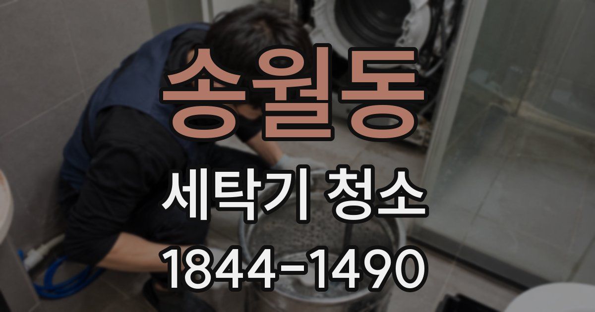 송월동 세탁기 청소