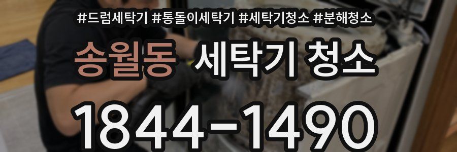 송월동 세탁기 청소