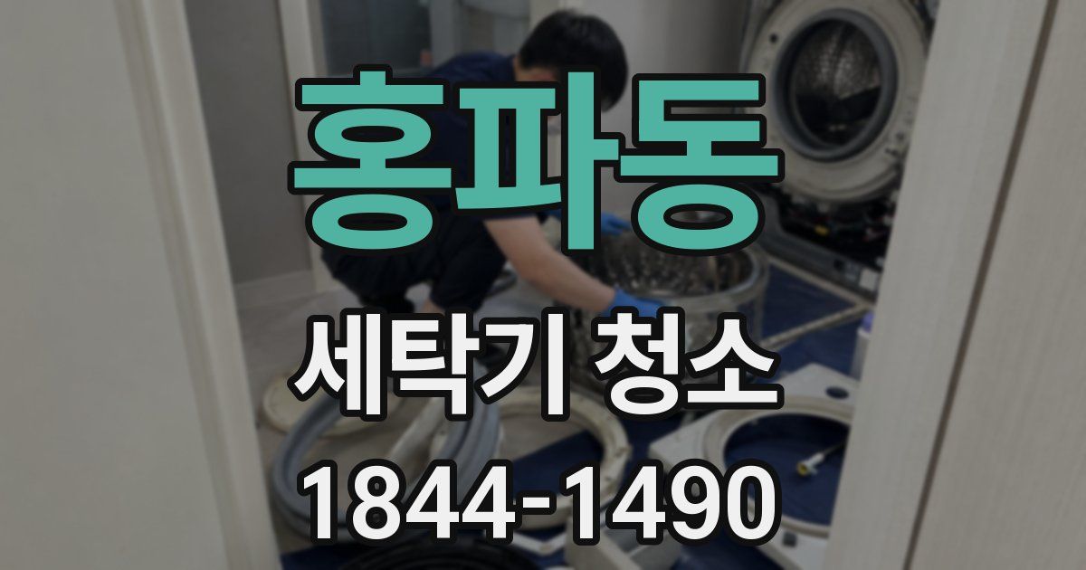 홍파동 세탁기 청소