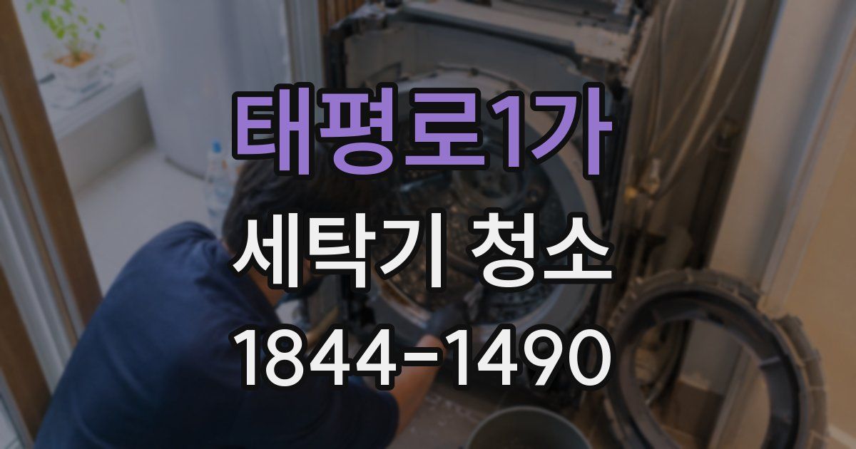 태평로1가 세탁기 청소