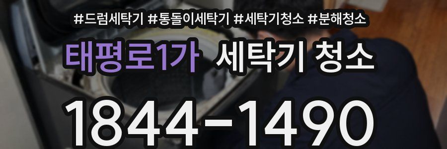 태평로1가 세탁기 청소