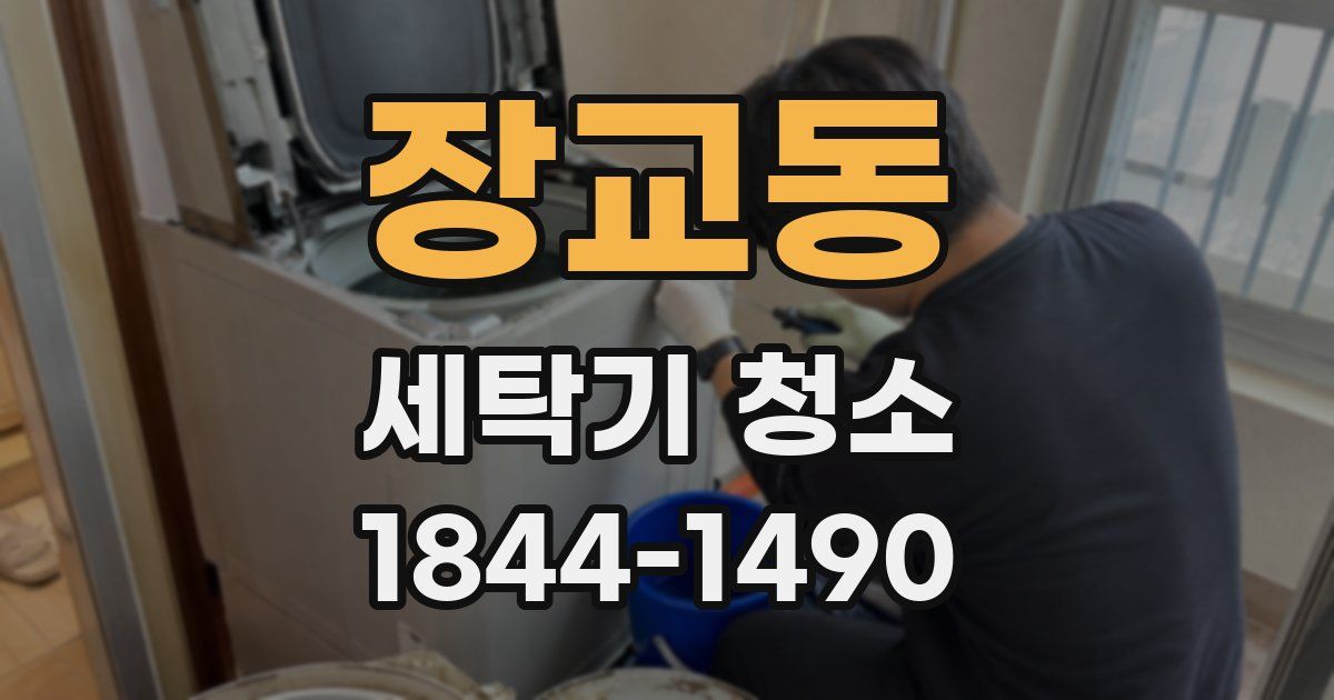 장교동 세탁기 청소