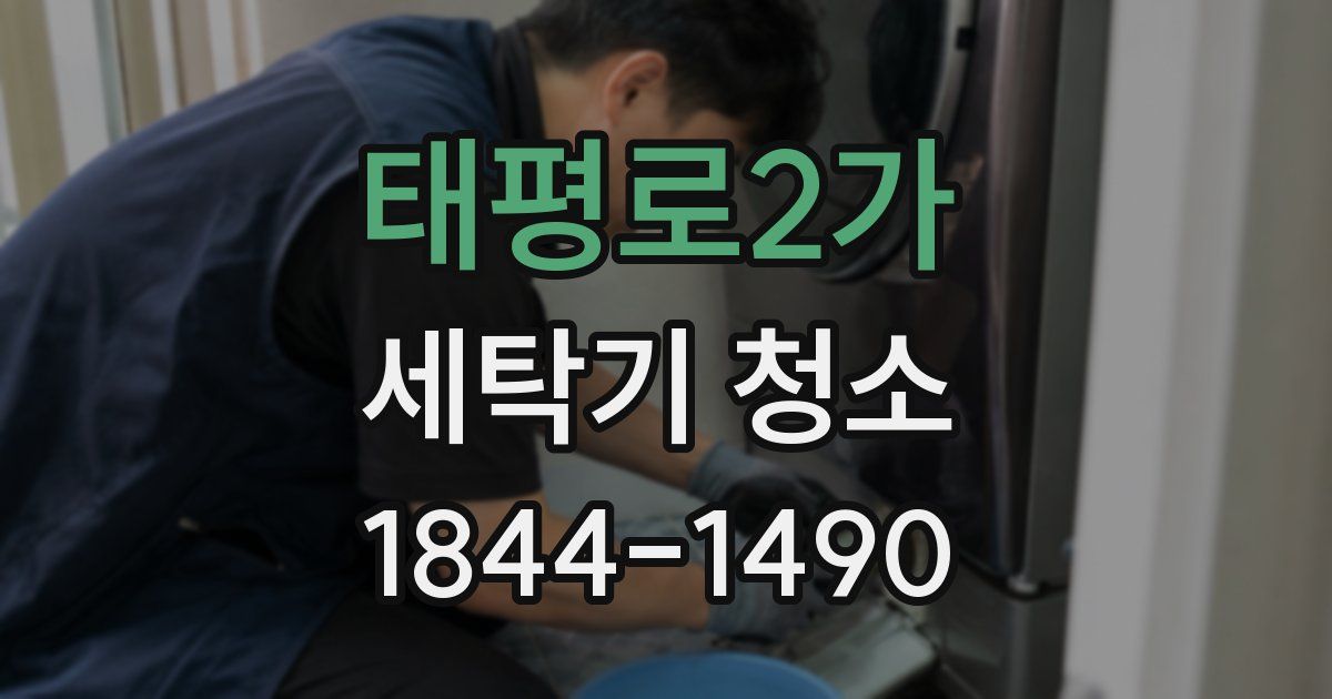 태평로2가 세탁기 청소