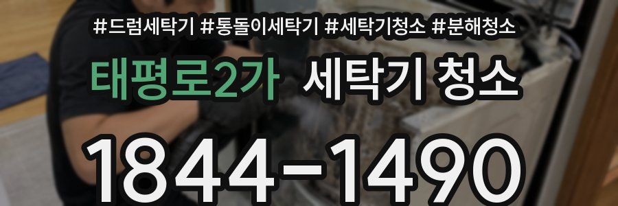 태평로2가 세탁기 청소