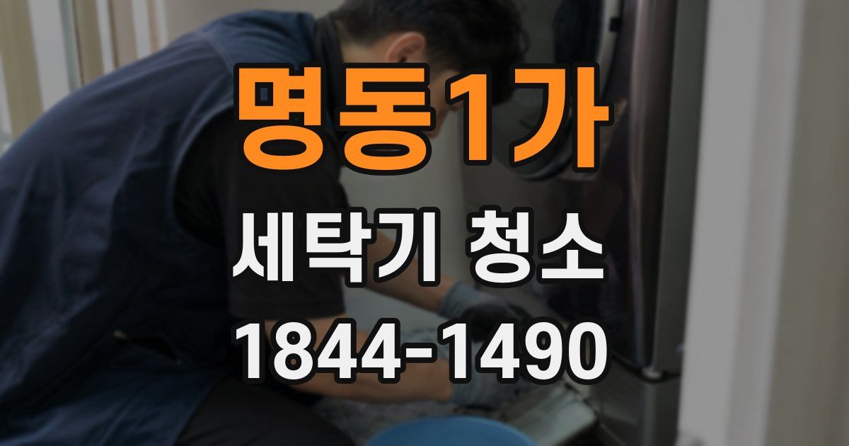 명동1가 세탁기 청소
