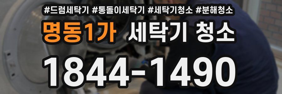 명동1가 세탁기 청소