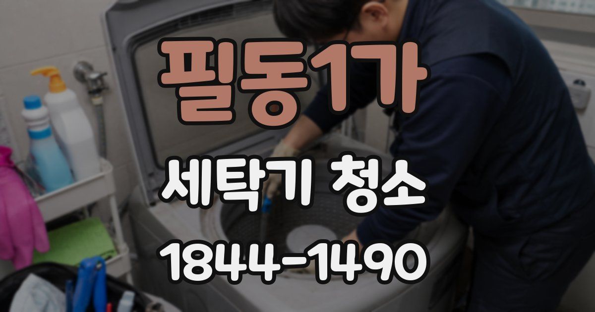 필동1가 세탁기 청소