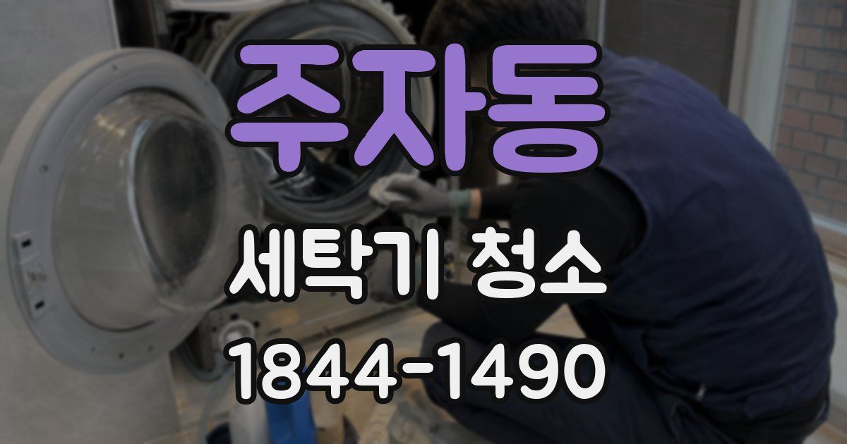 주자동 세탁기 청소