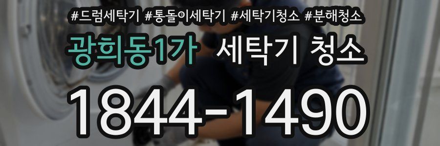 광희동1가 세탁기 청소