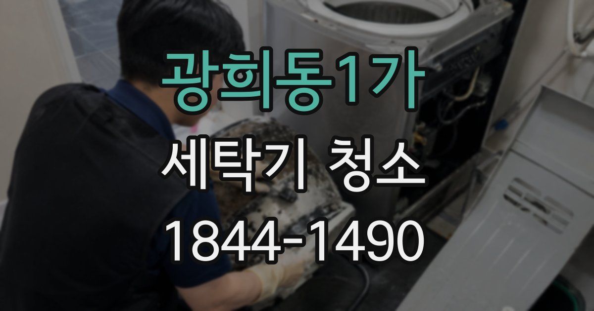 광희동1가 세탁기 청소