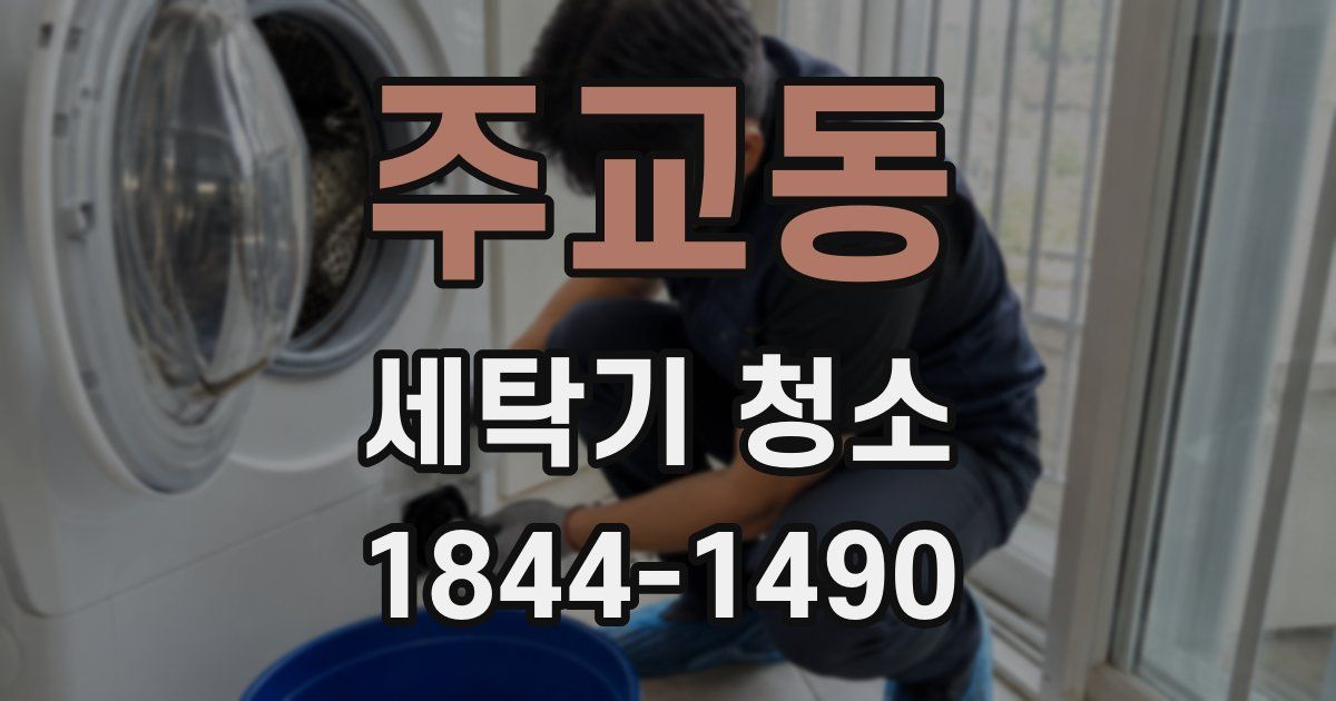 주교동 세탁기 청소