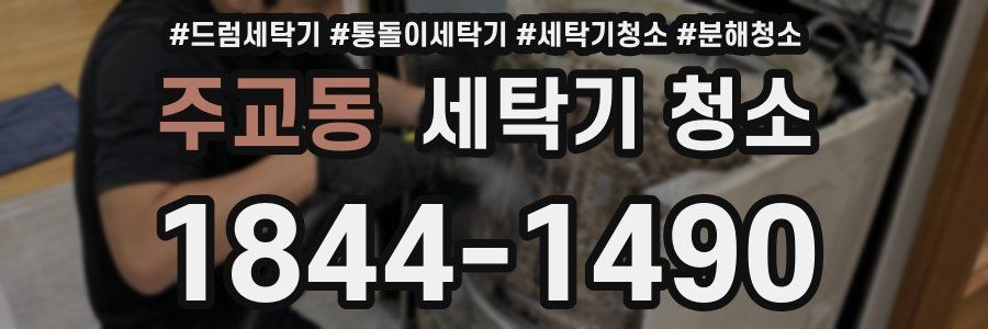 주교동 세탁기 청소