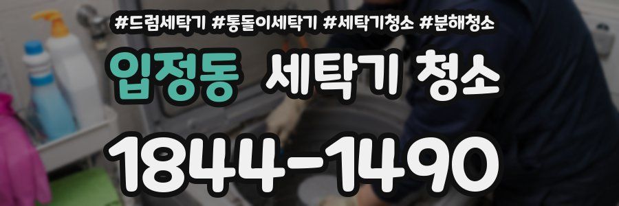 입정동 세탁기 청소