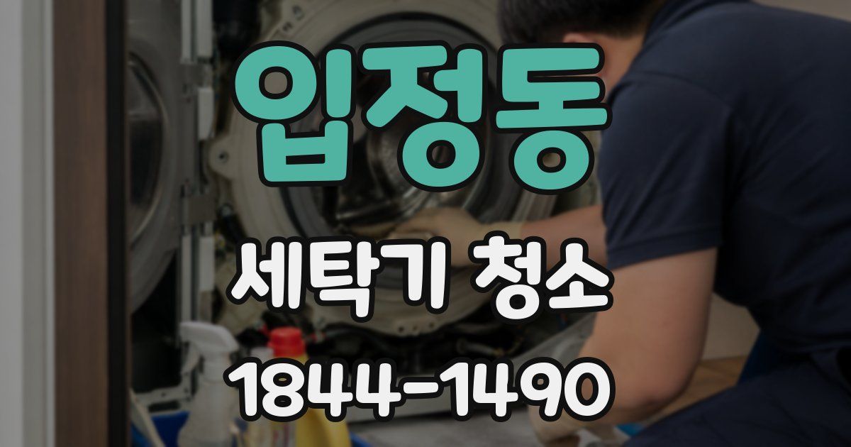입정동 세탁기 청소