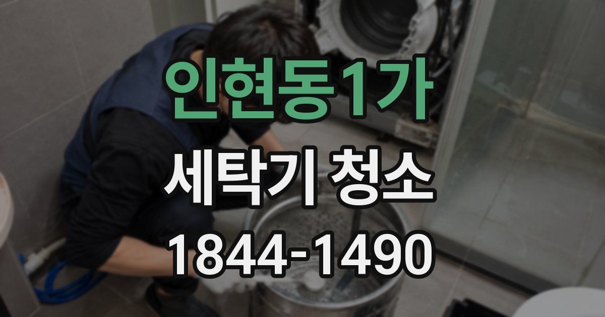 인현동1가 세탁기 청소