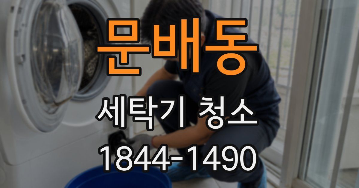 문배동 세탁기 청소