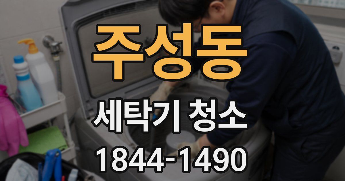 주성동 세탁기 청소