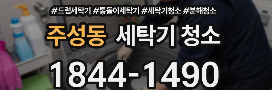주성동 세탁기 청소
