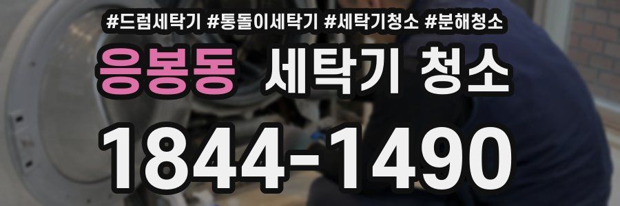 응봉동 세탁기 청소