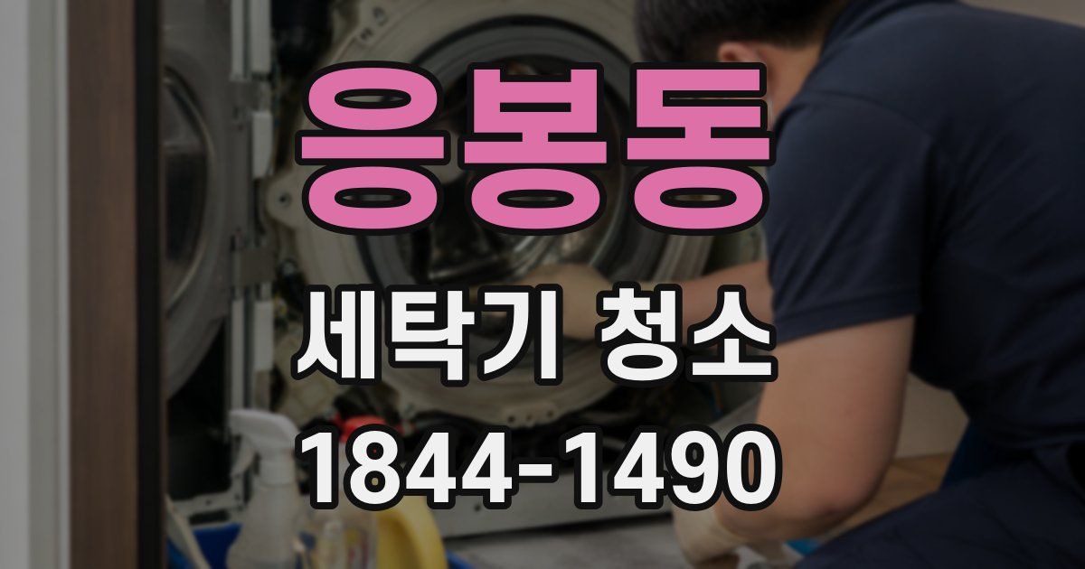 응봉동 세탁기 청소