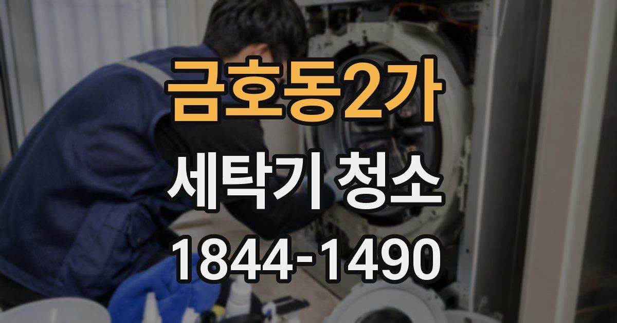 금호동2가 세탁기 청소