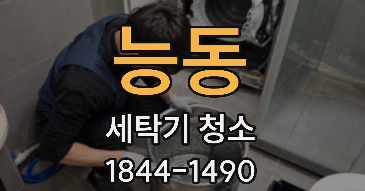능동 세탁기 청소