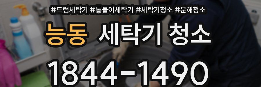 능동 세탁기 청소