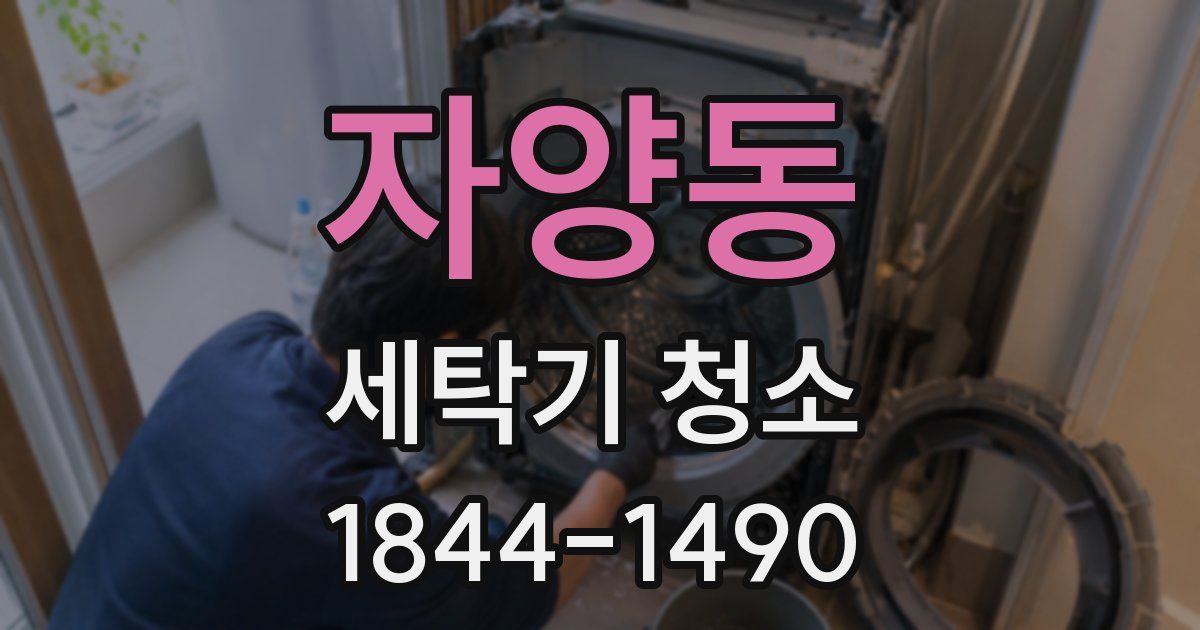 자양동 세탁기 청소