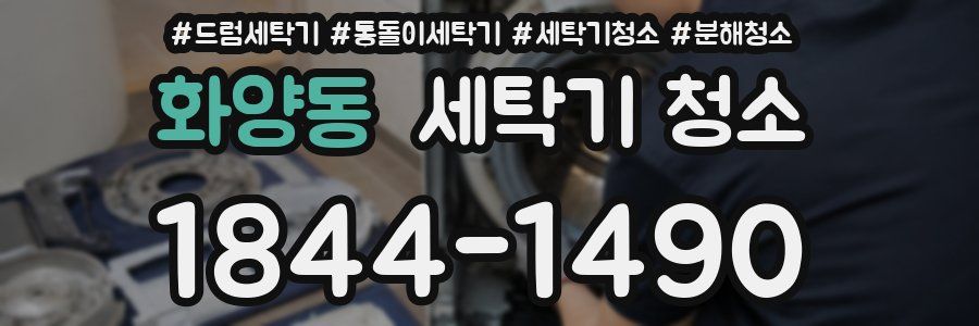 화양동 세탁기 청소