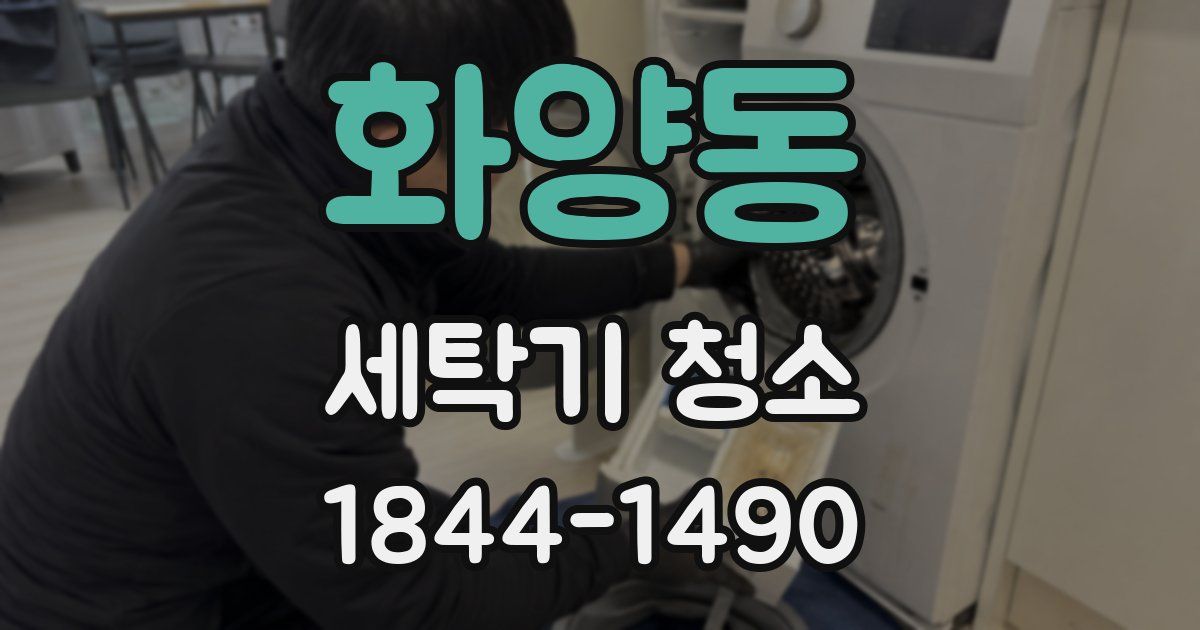 화양동 세탁기 청소