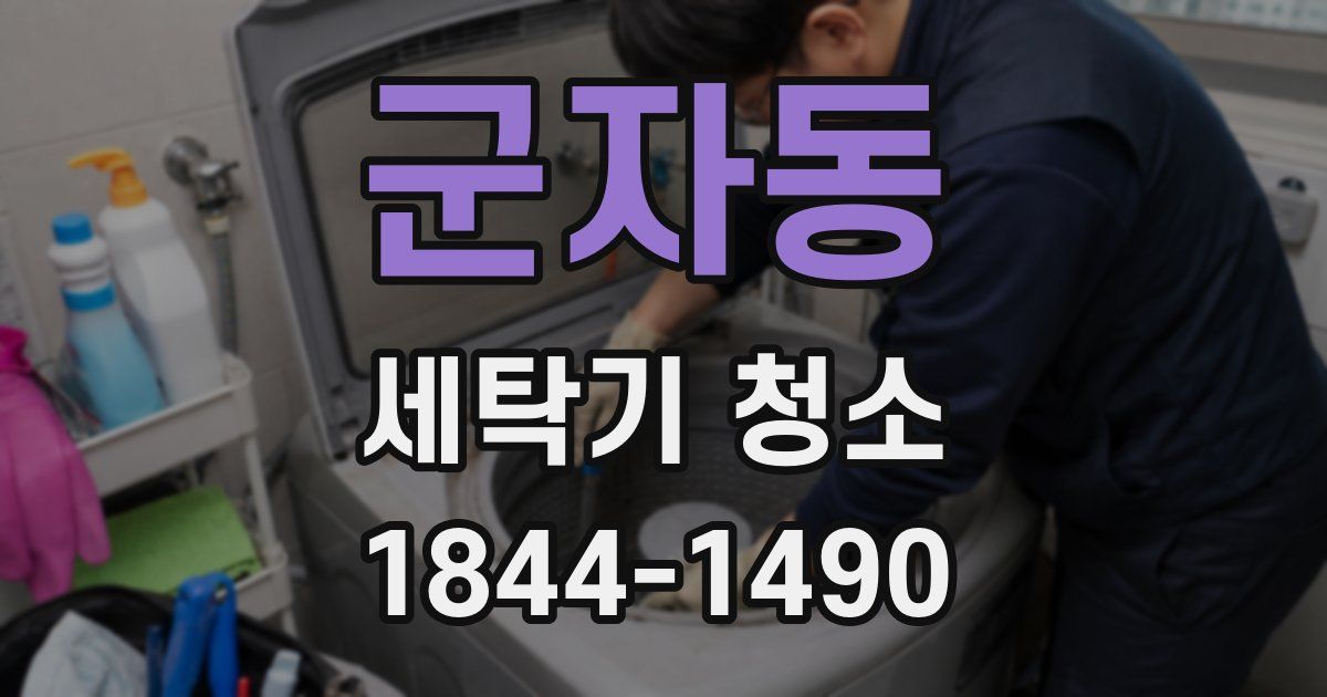 군자동 세탁기 청소