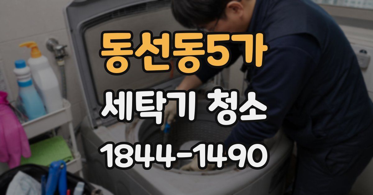 동선동5가 세탁기 청소
