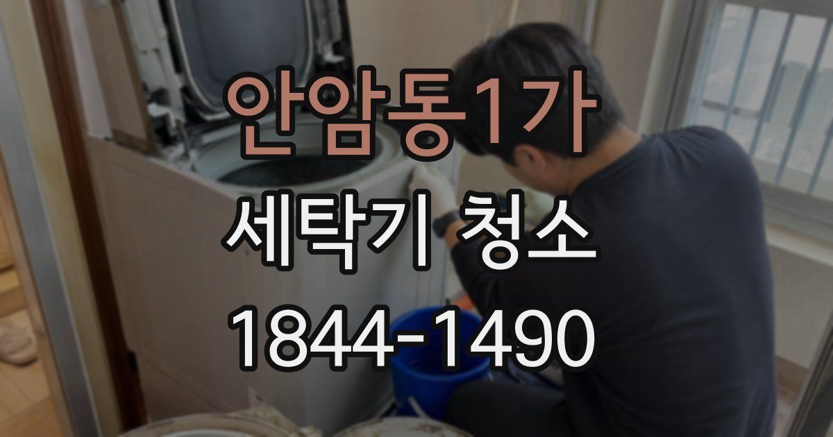 안암동1가 세탁기 청소