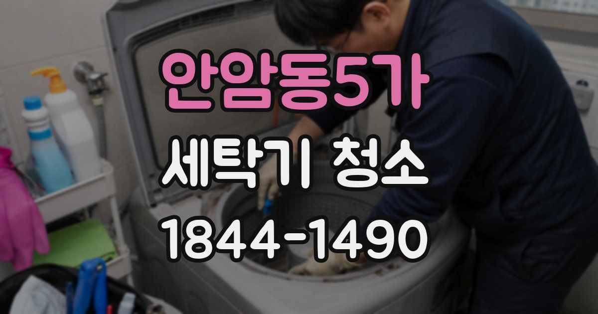 안암동5가 세탁기 청소