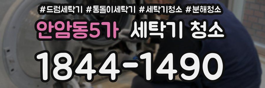 안암동5가 세탁기 청소