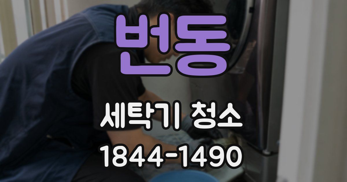 번동 세탁기 청소
