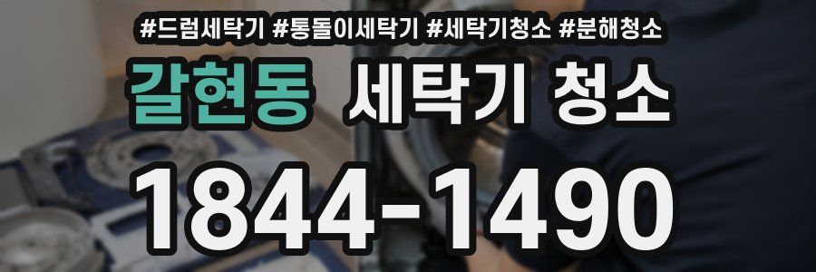 갈현동 세탁기 청소
