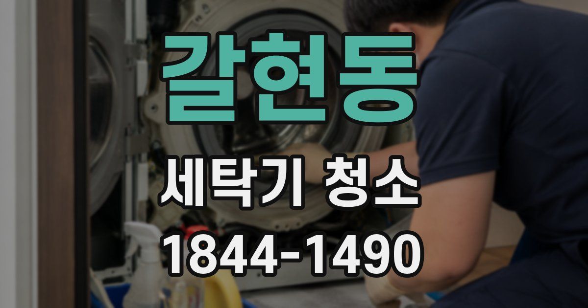 갈현동 세탁기 청소