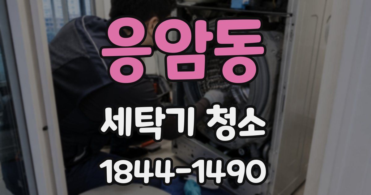 응암동 세탁기 청소