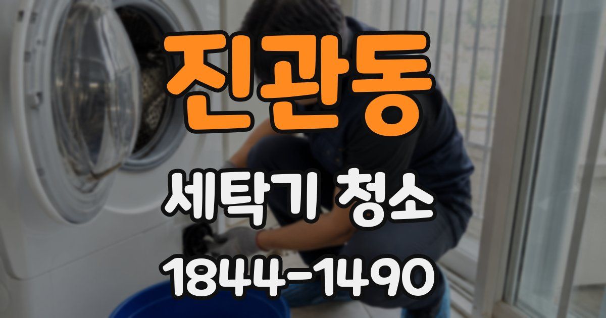 진관동 세탁기 청소