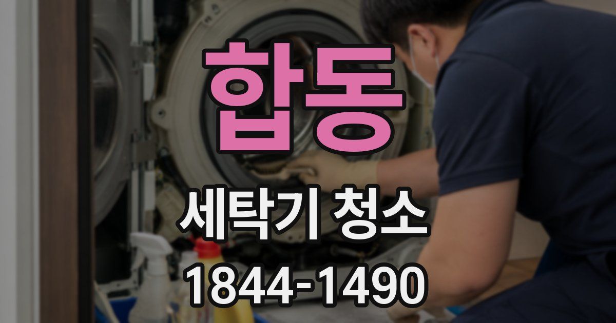 합동 세탁기 청소
