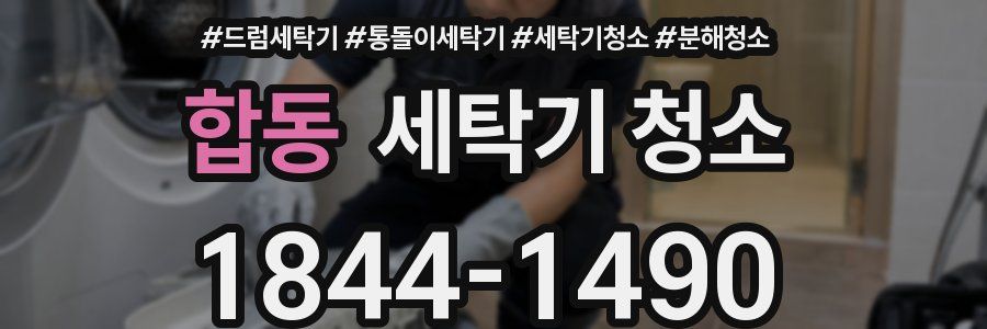 합동 세탁기 청소