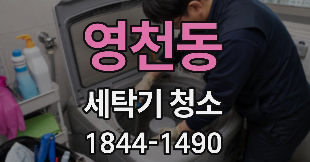 영천동 세탁기 청소