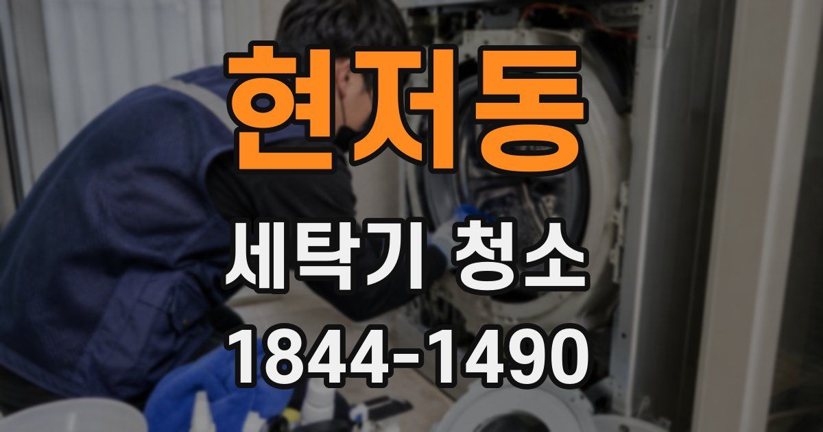 현저동 세탁기 청소