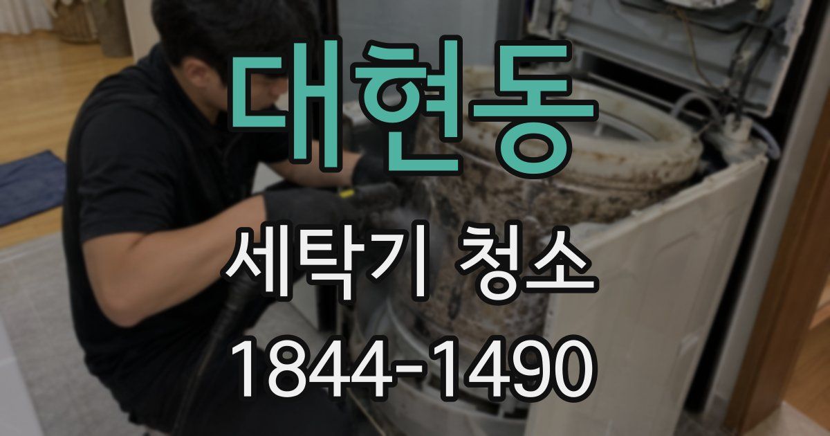 대현동 세탁기 청소