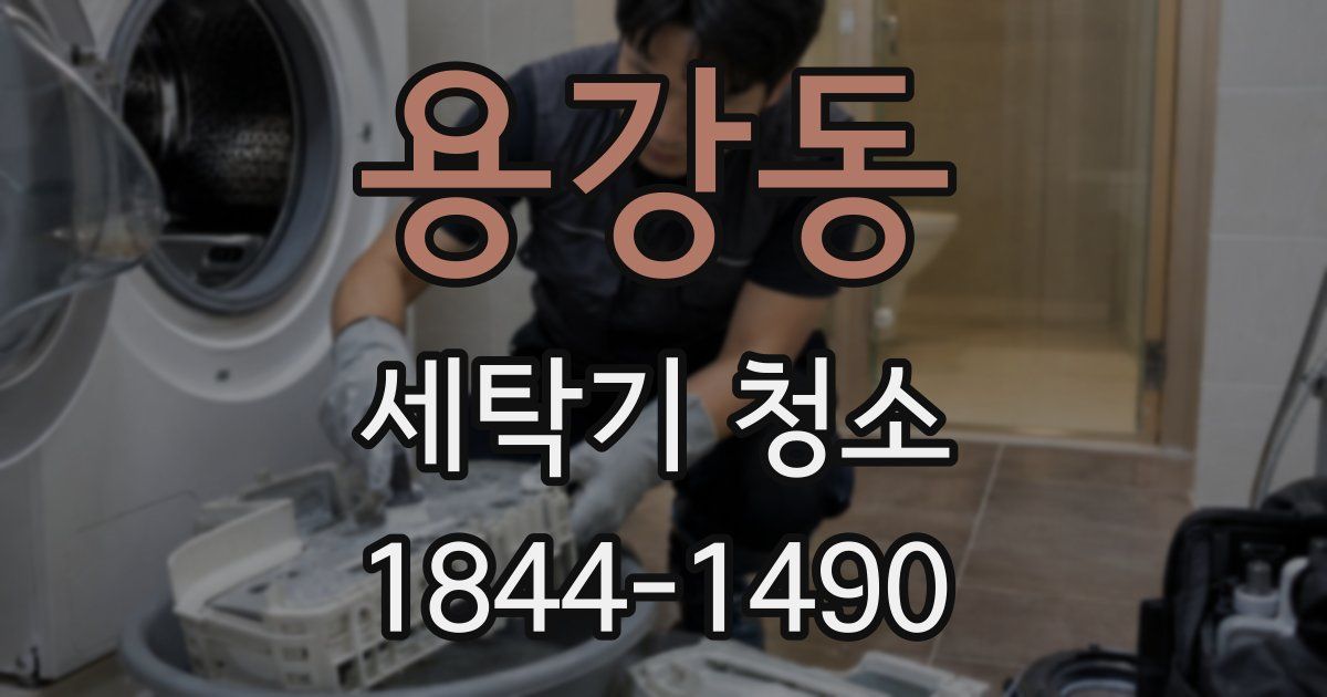 용강동 세탁기 청소