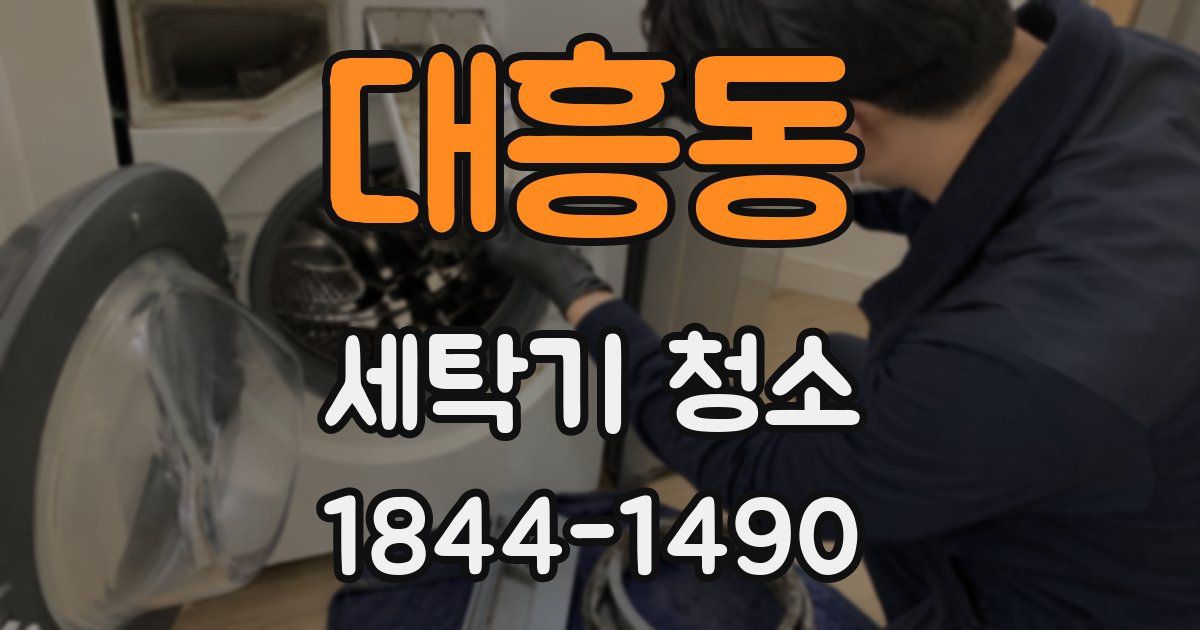 대흥동 세탁기 청소