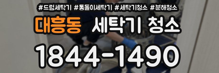 대흥동 세탁기 청소